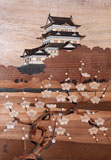 Odawara-jo Castle and the flower of the plum